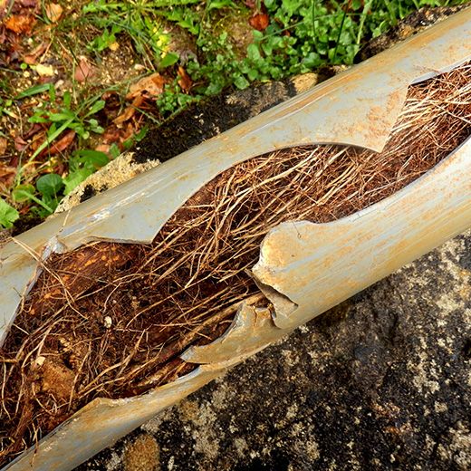 Same Day Drain Sewer & Rooter Pros Across Newbury